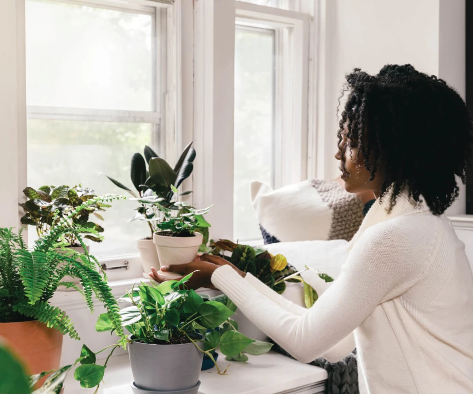 Evinizde Bitki Yetiştirmenin Püf Noktaları