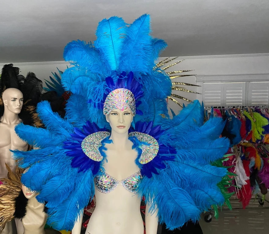 Karnaval Sırasında Kullanılan En Popüler Eşyalar