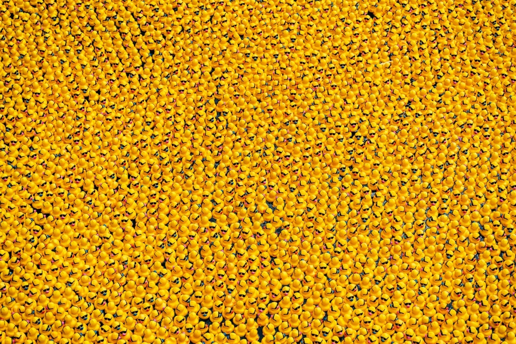 Ev ve Kamp İçin Su Bidonları: Taşınabilir Seçenekler