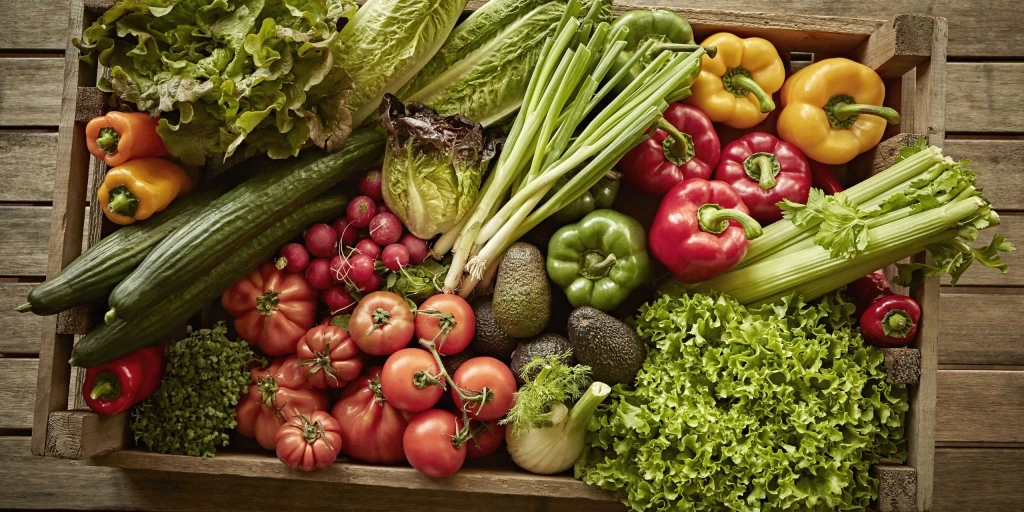 Organik Ürün Toptancıları ile Sağlıklı Gıda Tedariki