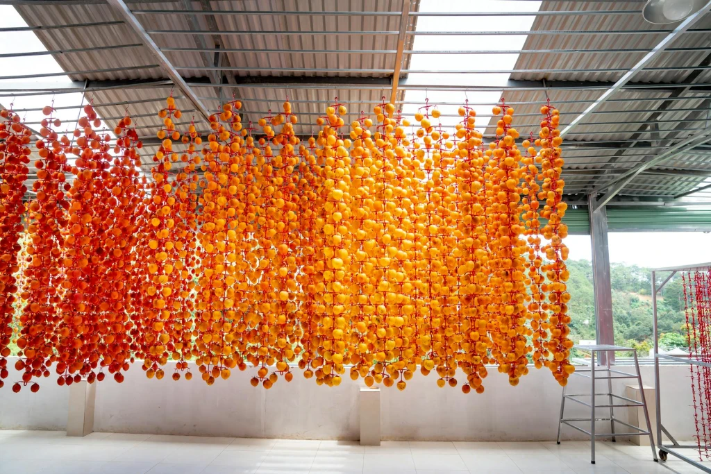 Gıda Ürünleri ve Organik Seçeneklerle Sağlıklı Beslenme