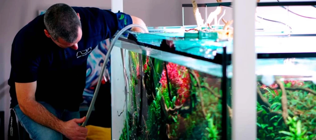 Akvaryumun Suyu Kaç Günde Bir Değişmeli?