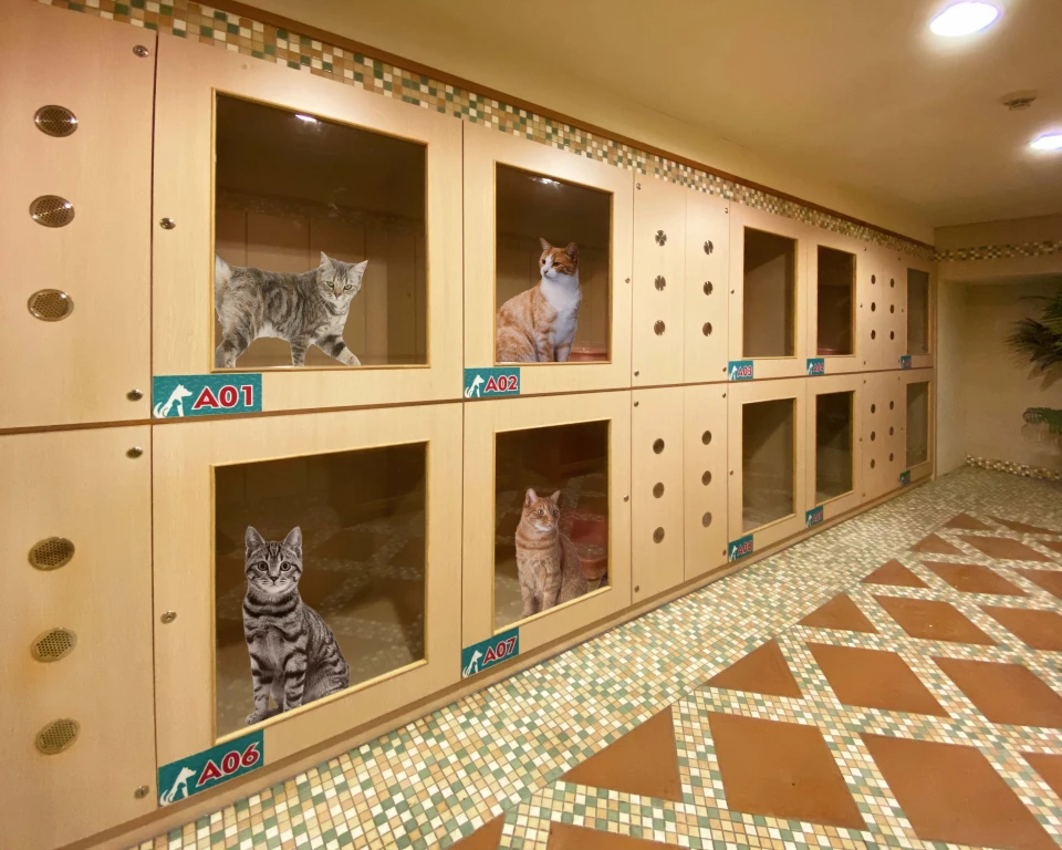 Tatile giderken evcil hayvan nereye bırakılır?