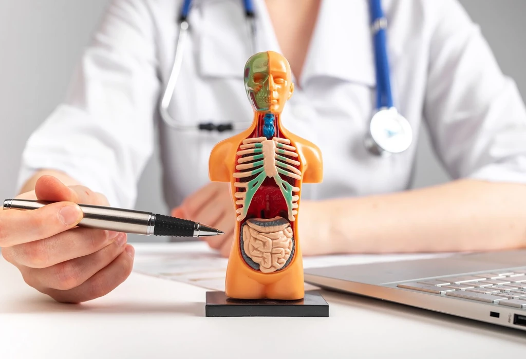 Dahiliye kan tahlili su içilir mi?