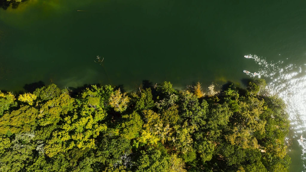 Sağlık Turizminde Kimler Çalışabilir?