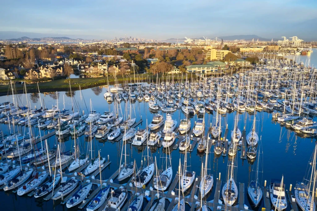 Marina Hizmetleri Nelerdir?