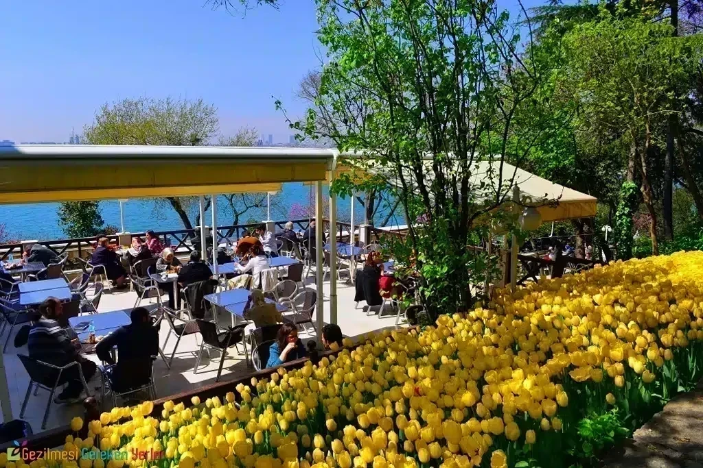 Gözdağı Sosyal Tesisleri’ne Nasıl Gidilir?