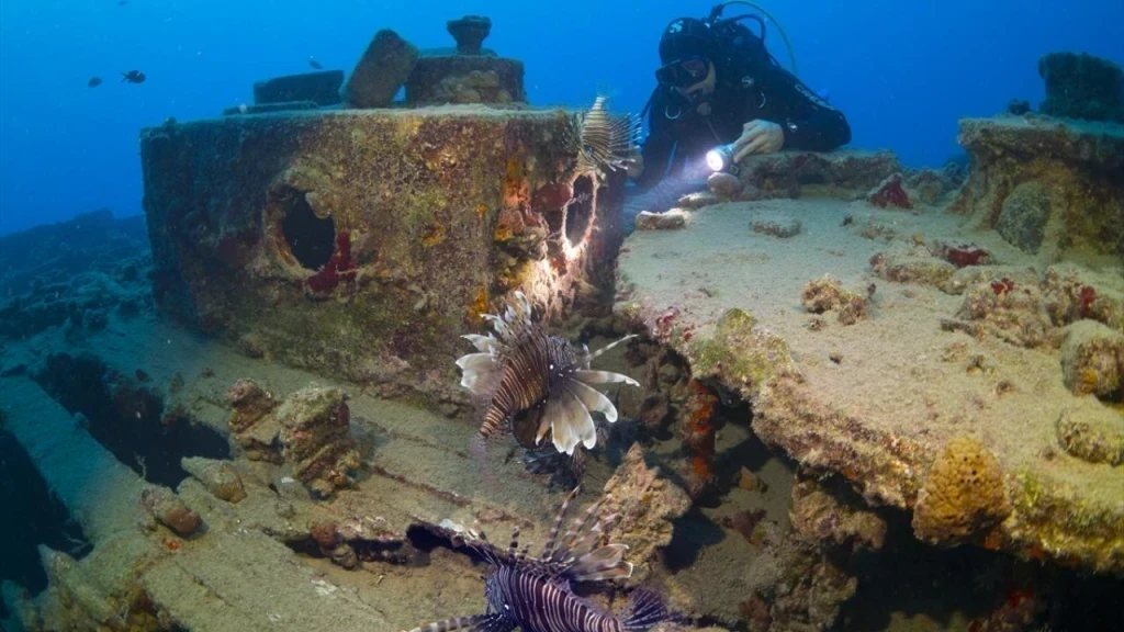 Antalya'daki Sualtı Zenginlikleri