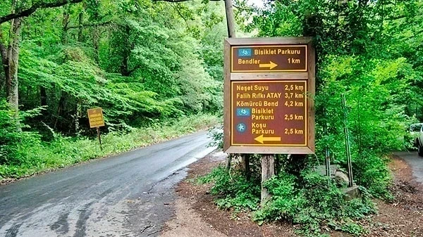 Belgrad Ormanı Kamp Alanı Nerede?