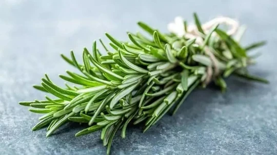 Besleyici ve Güçlendirici Biberiye Yağı ile Saç Serumu Yapımı