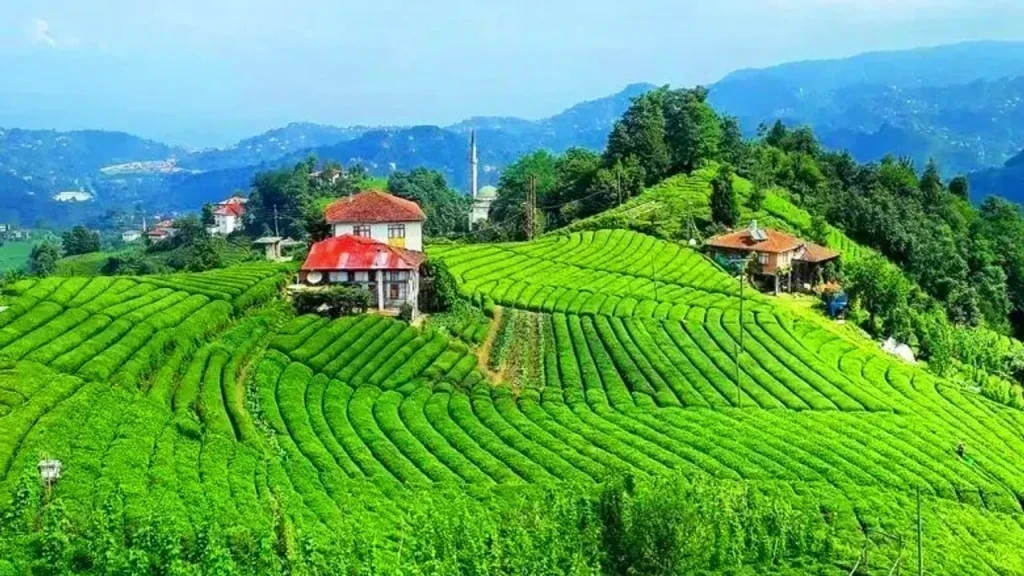 Haftasonu Karadeniz : Rize Gezilecek Yerler Listesi