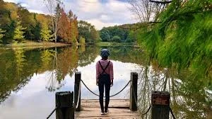 Yemyeşil Bir Cennet: Atatürk Arboretumu