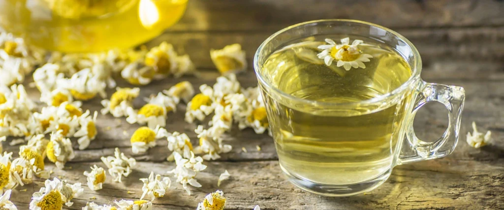 Papatyanın Faydaları Nelerdir?