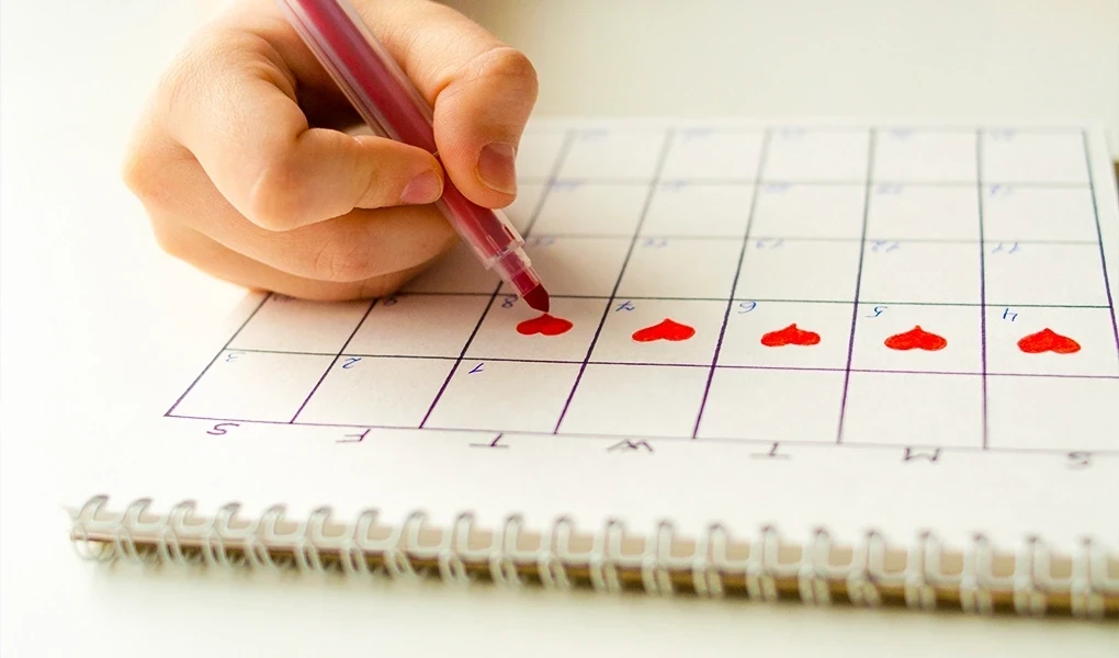 Adete Kaç Gün Kala Hamile Kalınmaz?