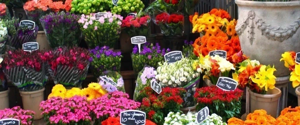 Amsterdam Çiçek Pazarı