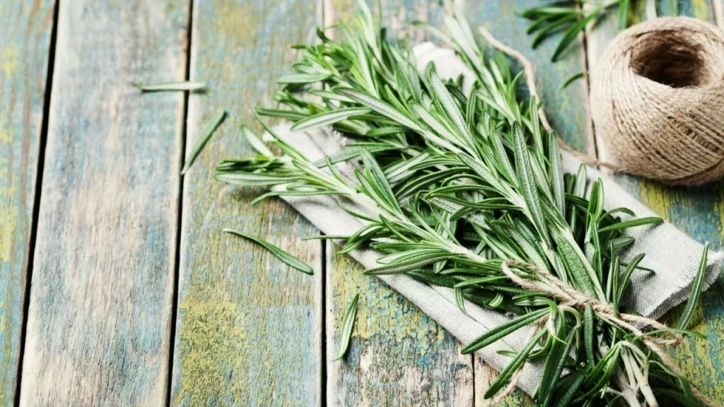 Diyete Yardımcı Olan 10 Bitki