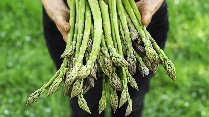 Kan Dolaşımını Hızlandıran Yiyecekler Nelerdir?