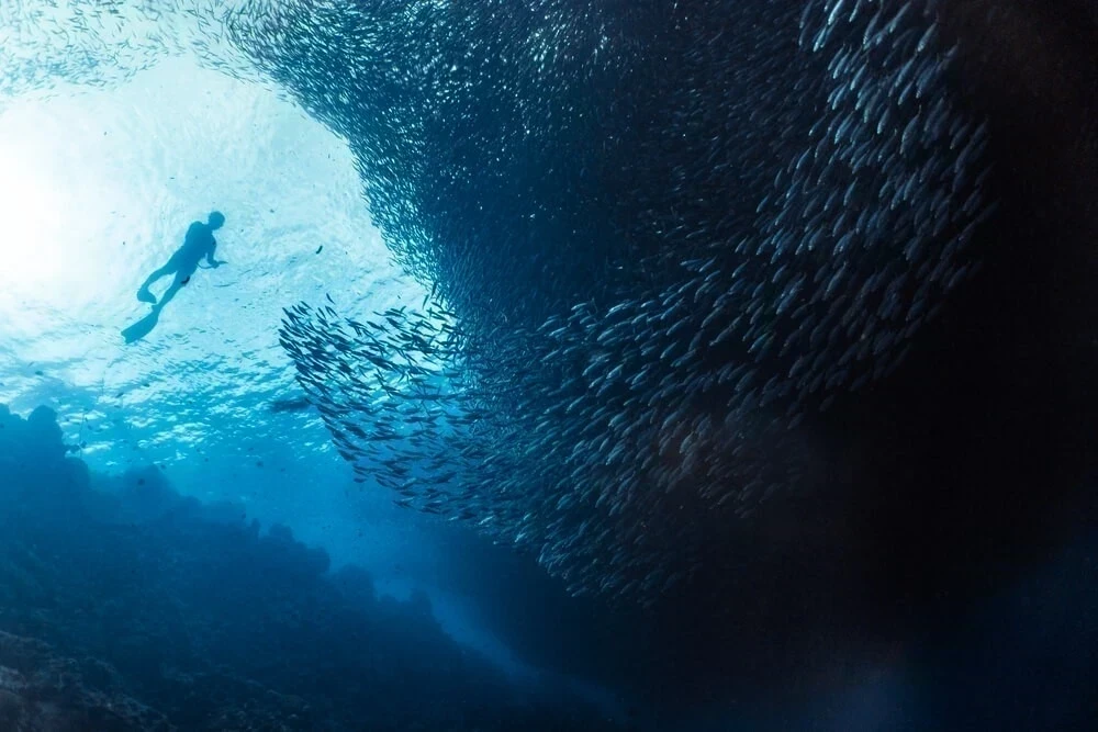 Türkiye’nin En İyi 11 Dalış Noktası