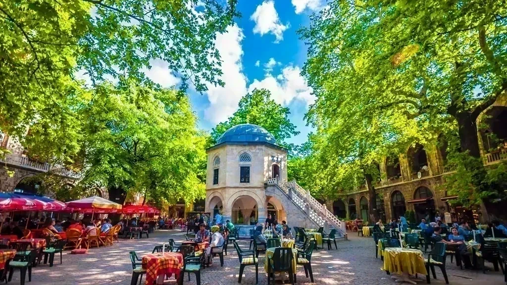 Bursa Şehir Rehberi