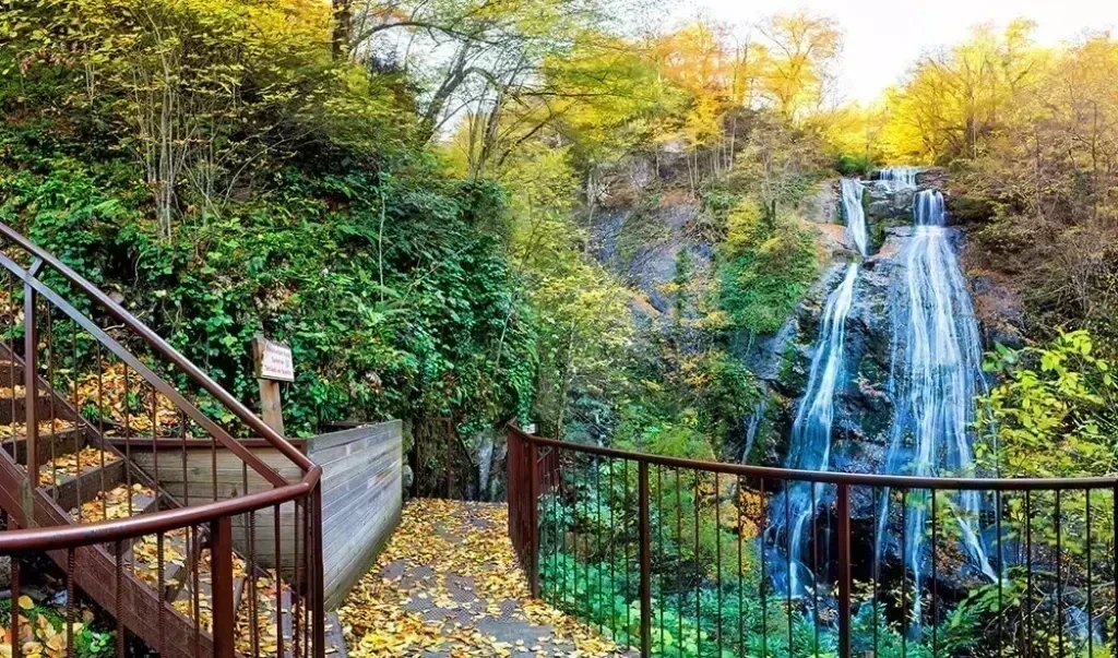 Düzce Şehir Rehberi