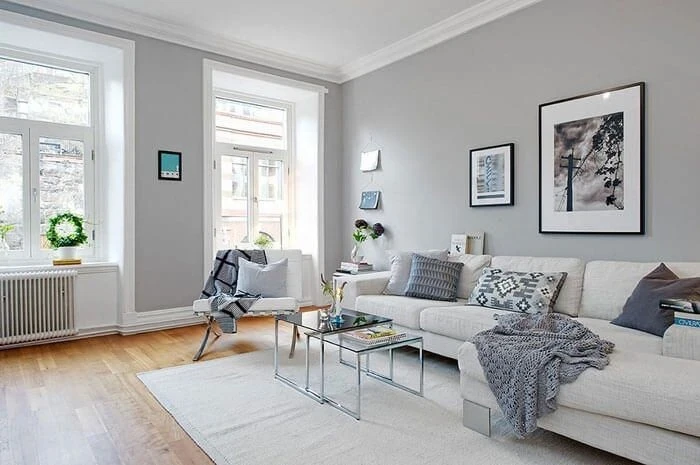 Athena Duvar Boyası: Renk ve Badana Seçenekleri