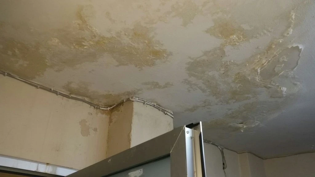 Su Alan Tavan Tamiri