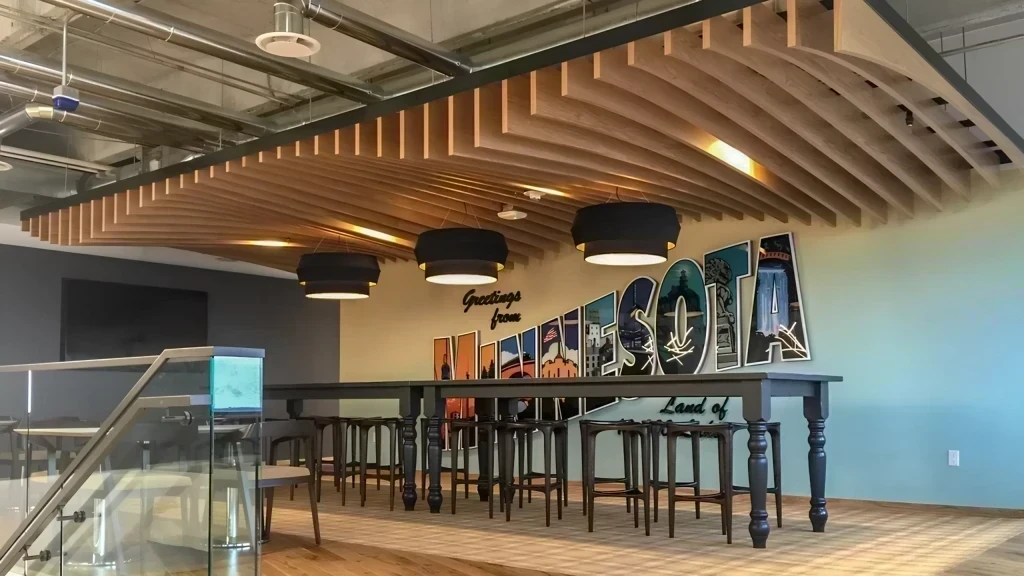 Asma Tavan Çeşitleri nelerdir?