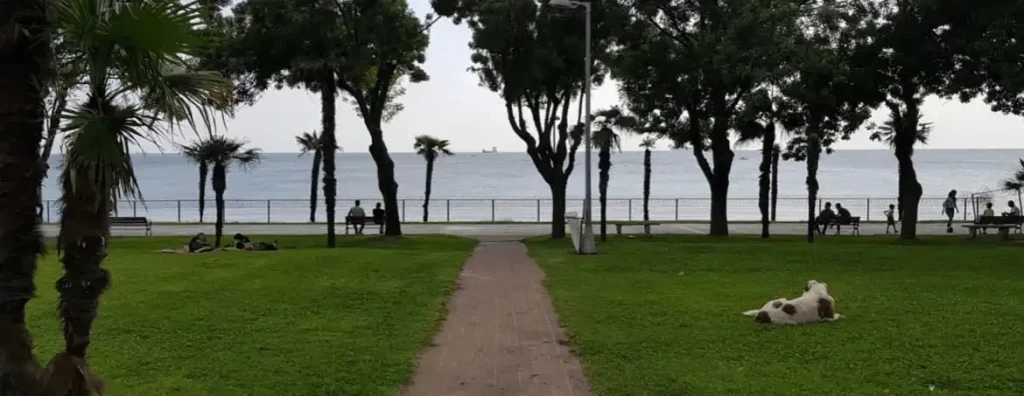 İstanbul Yeşilköy'de Nereye Gidilir?