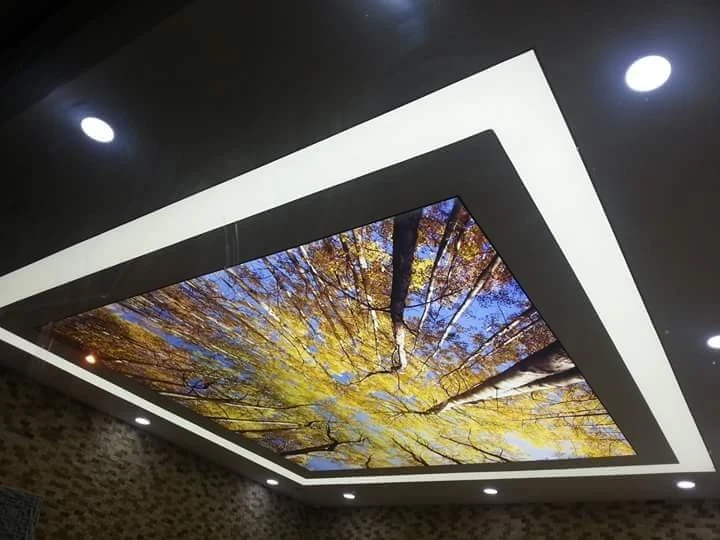 Barisol Gergi Tavan ve Aydınlatma Fiyatları