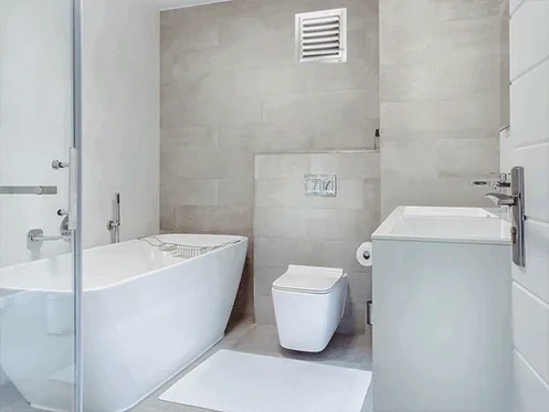 Banyo Penceresi Sineklik nedir?