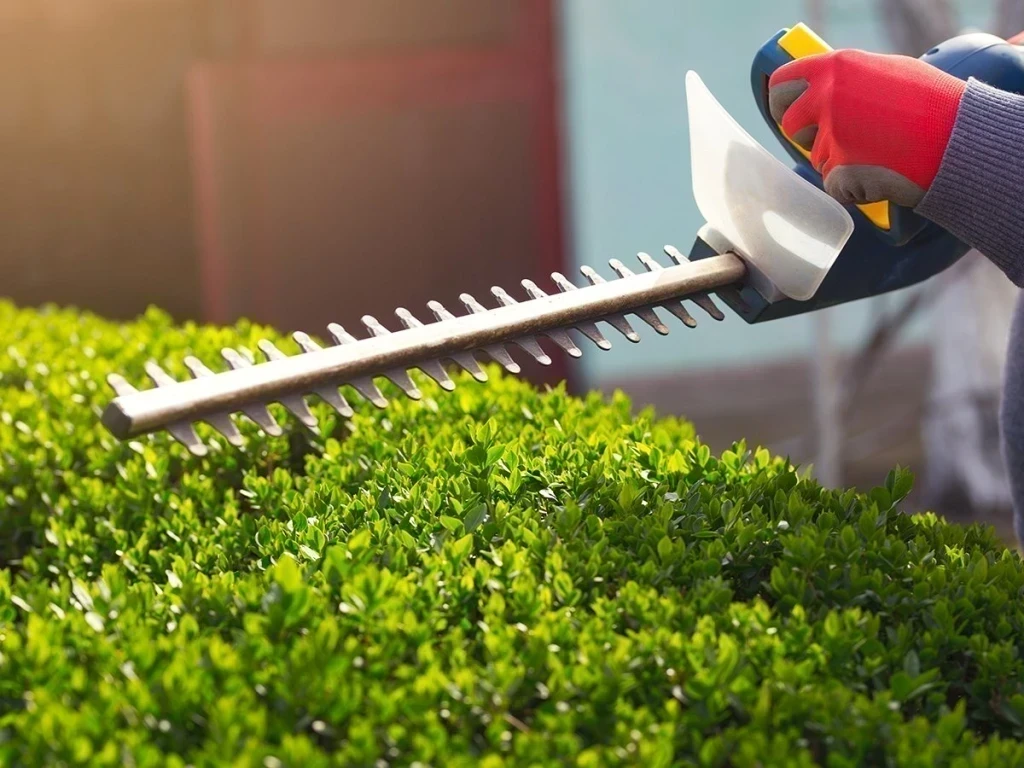 Sürdürülebilir Peyzaj Tasarımı Ve Uygulama İlkeleri