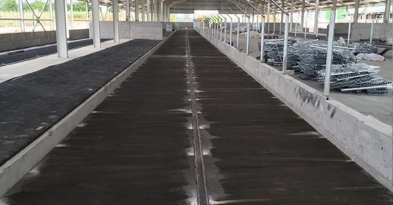 Rulo Hayvan Yatağı Fiyatları