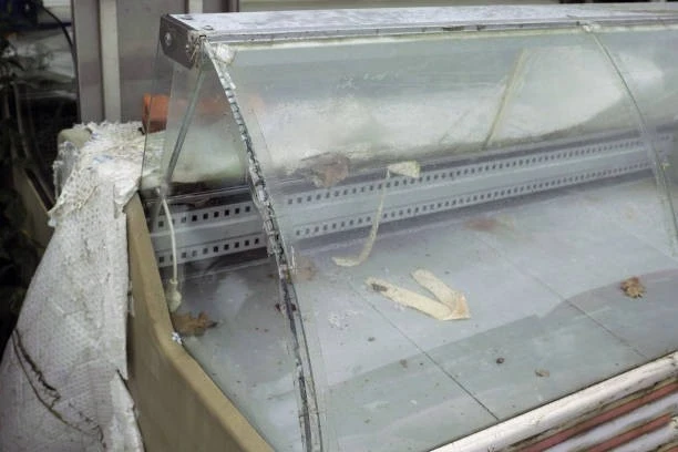 Dondurma Dolabı Derece Ayarı ve Ayarının Doğru Yapılması Rehberi