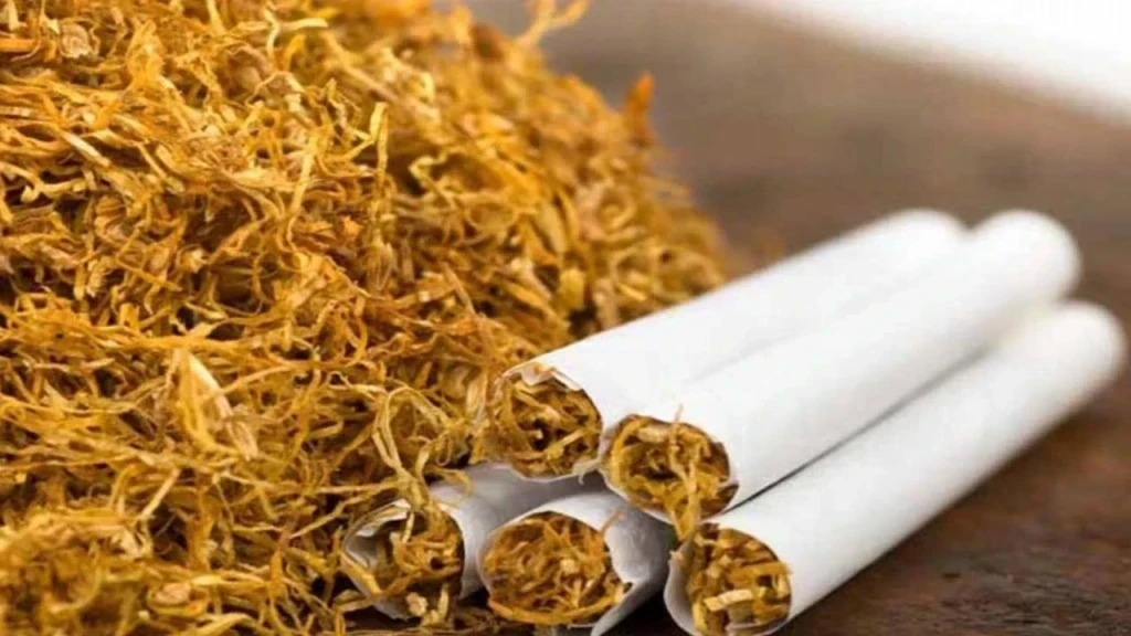 Tekel Tütün Ürünleri Satışı: Başarılı İş Kurmanın Püf Noktaları