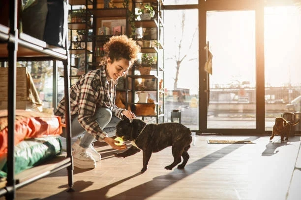 Köpek Sesleri, Cinsleri ve Türkiye'deki Evcil Hayvan Trendleri