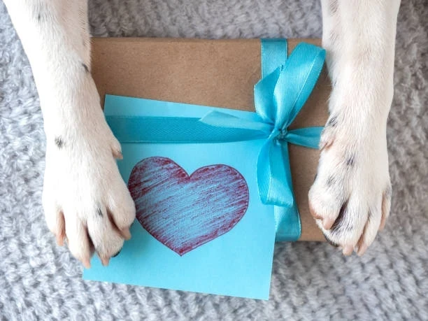 Veterinere Alınacak Hediye Önerileri ve En İyi Seçenekler