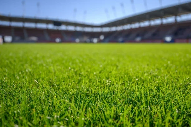 Halı Saha Çimi Fiyatları, Seçenekleri ve Yapım Rehberi