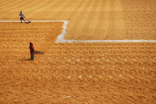 Halı Saha Kurmak İstiyorum: Maliyetler ve Gerekenler Rehberi