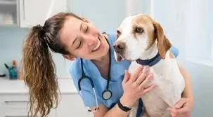 Veterinerlik Mesleği, Kazançları ve Şiirsel Yönleri