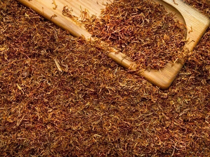 Tütünü Kim Buldu? Nasıl Keşfedildi? İşte Tütünün Keşif Hikayesi