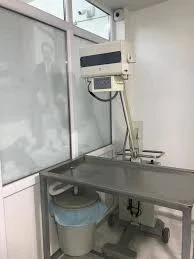 Veteriner Röntgen ve Ultrason Cihazlarıyla Doğru Teşhis