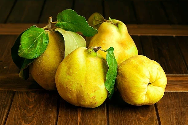 Bağışıklık Güçlendiren Kış Besinleri Nelerdir? Öğrenin