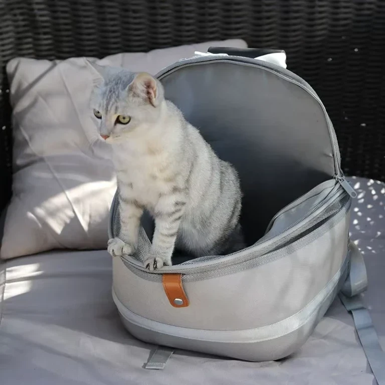 En İyi Pet Shop Kedi Taşıma Çantası Modelleri