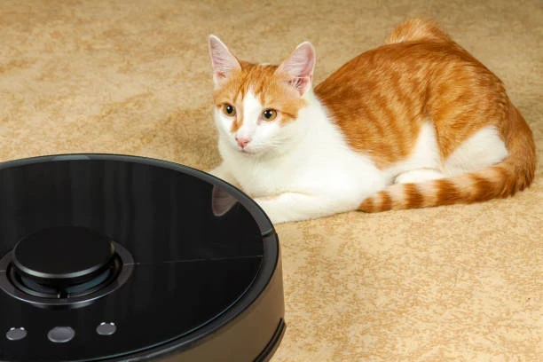 Ecovacs Robot Süpürge: Modeller, Fiyatlar ve Teknik Servis