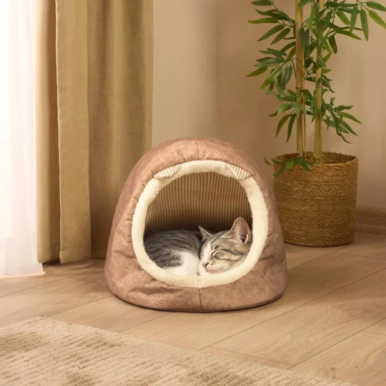 Kedi Evleri: Minik Dostunuz İçin En Konforlu ve Şık Seçenekler