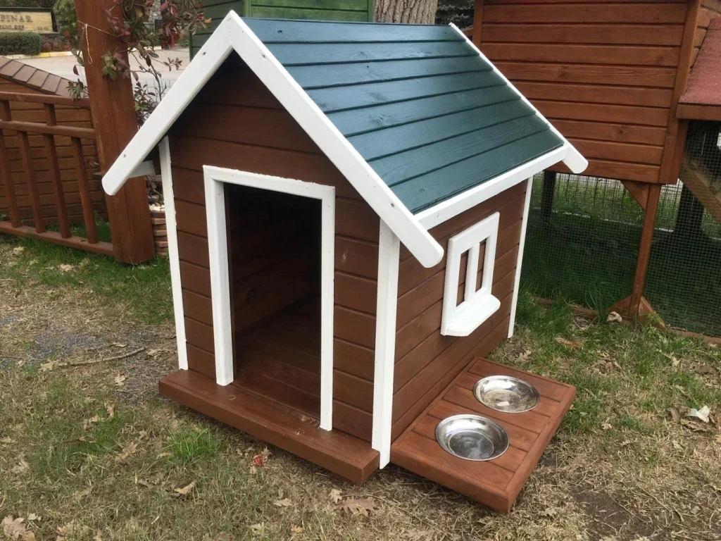 Veteriner Hekimlerin Sırları: Evcil Dostlarınız İçin Bilmeniz Gerekenler