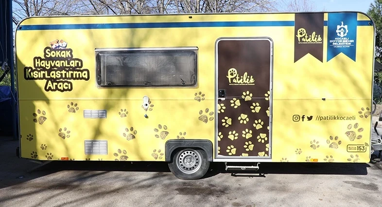 Belediyelerin Ücretsiz Kedi Kısırlaştırma Hizmeti Nedir?