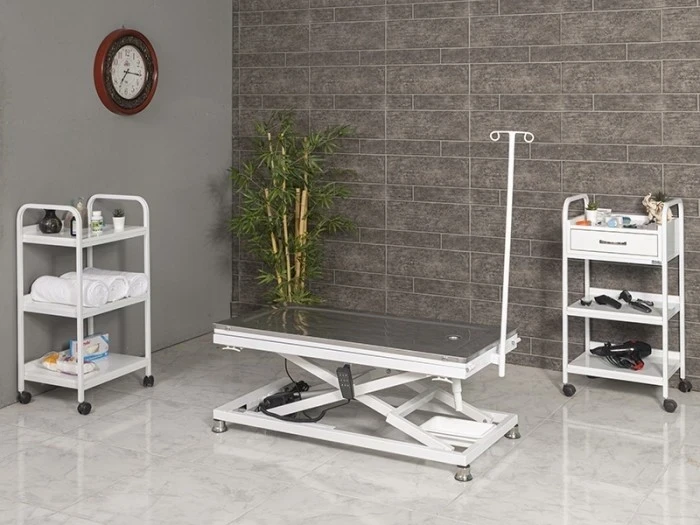 Evcil Hayvan Tasması Seçerken Dikkat Edilmesi Gerekenler