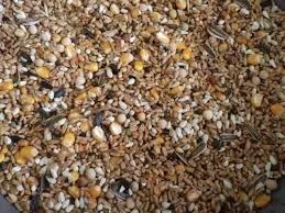 2025 Tavuk Yemi Fiyatları ve En Ucuz 50 Kg Seçenekleri