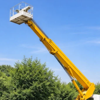 İst Forklift&Vinç Kiralama Acentesi